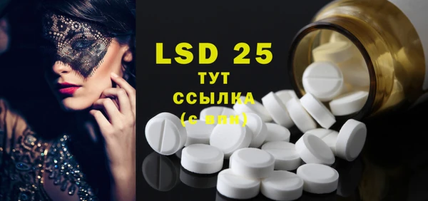 ГАЛЛЮЦИНОГЕННЫЕ ГРИБЫ Абаза