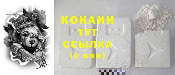 ГАЛЛЮЦИНОГЕННЫЕ ГРИБЫ Абаза