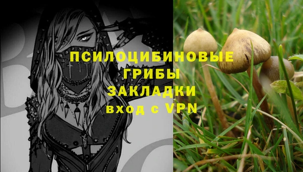 дмт Абинск