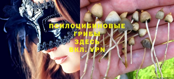 мяу мяу мука Абдулино