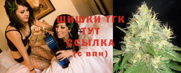ГАЛЛЮЦИНОГЕННЫЕ ГРИБЫ Абаза