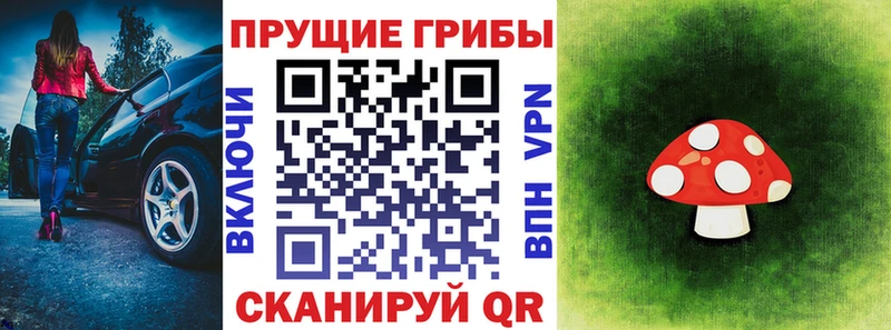 Галлюциногенные грибы мицелий  купить   Россошь 